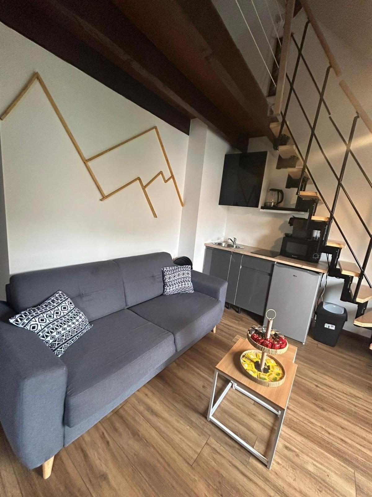 Reve Divin T4 Avec Parking-Barbecue-Laverie-Bagagerie-Salle De Sport-Aire De Jeux-Climatise Lourdes Eksteriør billede